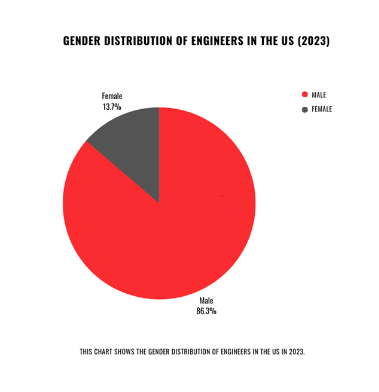 gender distribution of eng. in US
